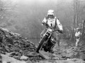 1-2015-11-13_2-Large-1