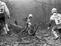 2015-11-13_50-Large