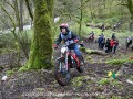 DSC_2937-Large
