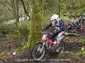 DSC_2948-Large
