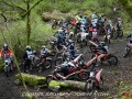 DSC_7420-Large