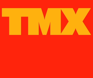 TMX 320×250