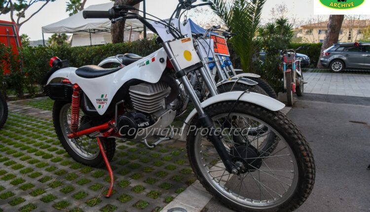 4 DSC_5141 (Large) (2)